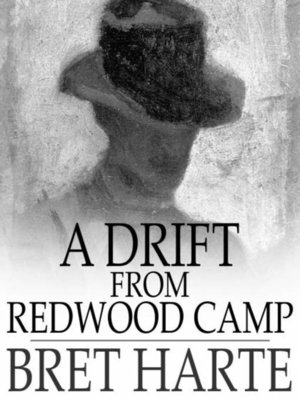 A Drift from Redwood Camp